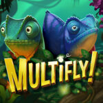 Multifly Slot Demo