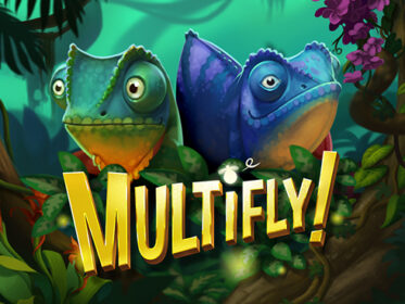 Multifly Slot Demo