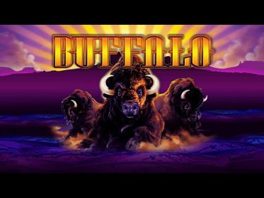 how to play buffalo slot machine